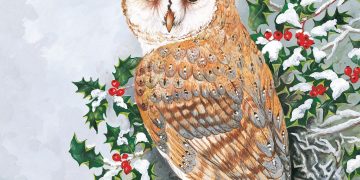 The image from the front of the ClearVision Christmas card: a Barn Owl stands on the branch of a snow-covered holly tree. The owl faces the viewer.