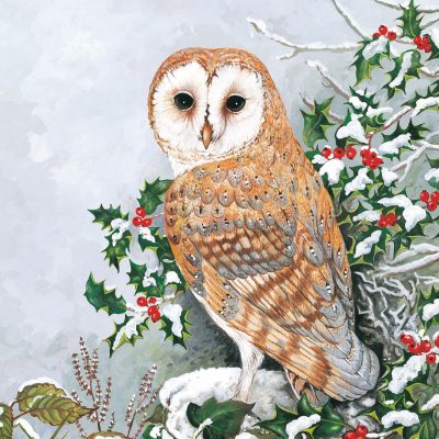 The image from the front of the ClearVision Christmas card: a Barn Owl stands on the branch of a snow-covered holly tree. The owl faces the viewer.